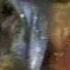Midnight Star Freak A Zoid Live
