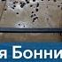 От Аль Капоне до Аль Каиды