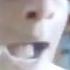 Marv Scream Home Alone