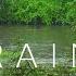Whispers Of The Rain Classical Piano In Nature