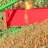 BUYING AND HARVESTING A NEW CORN FIELD Survival Challenge Multiplayer Riverbend Springs FS25 Ep69