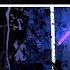 UK Dubstep Mix May 2025 New Releases WEEK 031 ArmaX Skrillex Hamdi ISOxo Fred Again