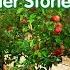 Tumbling Time Other Tractor Ted Stories Full Episodes Songs Compilation