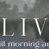 Elder Scrolls IV Oblivion Remastered Cyrodiil Morning Relaxing Music Ambience