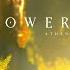 Beneath The Bell Tower Calming Dark Fantasy Music For Respite
