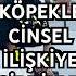 KÖPEKLE CİNS L İLİŞKİYE GİREN KIZ