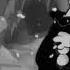 Cab Calloway St James Infirmary Blues Extended Betty Boop Snow White Version REUPLOAD