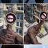 Siren Head MiX Combo Coffln Dance Song Meme CoVER Sorts Virelshorts Sirenheadcoffindance