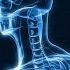 RESET Vagus Nerve In 1 Listen 20Hz Quantum Miracle Frequency