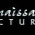 Renaissance Pictures Logo With Terence