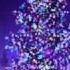 O Christmas Tree Wii Music