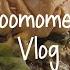 Simple Vlog Five Guys Burger Cold Storage Bento Going Back To Office