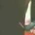 Nu Pogodi Episode 17 Upload By WWw VietLion Com