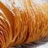 100 Layer Sfogliatella The Most Difficult Italian Dessert Made By Pastry Master Sabatino Sirica