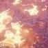 Euphoria Episode 1 Mixed By Welso
