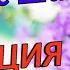 Флоренс Шинн Интуиция часть 8