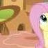 MLP FiM Hurricane Fluttershy