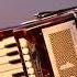 8 Hour Tokyo Accordion Vibes COPYRIGHT FREE