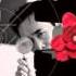 Amputee Gerbera Susumu Hirasawa