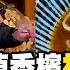 搶先看 曾國城乾掉香檳被方芳芳罵 紅燒牛肉麵搭配小卷超滿足 花甲少年趣旅行 S10 EP146 台中 曾國城 方芳芳 是元介 任容萱