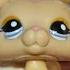 Lps Music Video Pity Party Hbd Me