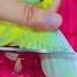 Don T Do This Birds Also Have A Heart Parrot Birds Parrorts Handtame Lovebirds Pets