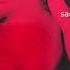 Sade Kiss Of Life Kaytranada Edit