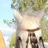 Djibellah Cana Clip Officiel