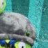 Angry Birds On The Run The Final Showdown S1 Ep22