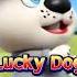 Karate Cat And Lucky Dog Danny The Big Race Cartoon For Kids