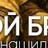 СИЛЬНЫЙ НАШИД МОЙ БРАТ На Русском Слушать Всем