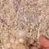 Have You Ever Seen Snow River In Desert
