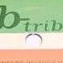 B Tribe Nobody Understands Remix