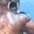 Reda Musculation 2