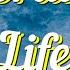 The Living Tombstone My Ordinary Life Lyrics