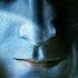 On The Nature Of The Imperium Of Man By Admiral Thrawn AFWTMT Fan Piece