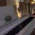 Ticking Tin Piano Shorts