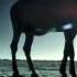 Wonderfull Chill Out Music Love Session On Amazing HD Video The Original