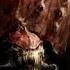 Keepers Of Death Tyranids Traducido En Español