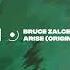 Bruce Zalcer Arise Original Mix Suara