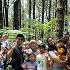Racunin Om Tante Teman Kuliah Ayah Buat Camping Di Tangkal Pinus Bandung