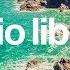 The Only Girl Silent Partner No Copyright Music