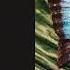 Grance BR Soulmac Mitra Original Mix