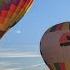 Jasper S Final Flight