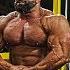 Chest Training Luke Brandon Fouad Ed Heba Tony Iron Rebel