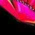 Butterfly Holographic Projector Animation