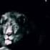 Metro Goldwyn Mayer 1916 1923 1924 1926