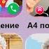 Позвонил А4 Звонок Влад А4 Нашел Где Влад А4 Видеозвонок А4 Общения А4