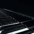 Elegy On The Death Of Liszt Op 11 Transcendental Etude No 12