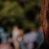 Tomorrowland 2024 Brina Knauss WE1 Intro Tomorrowland Edm